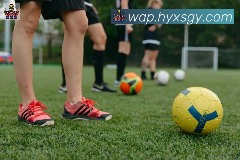 华体网页版登录入口服务体系