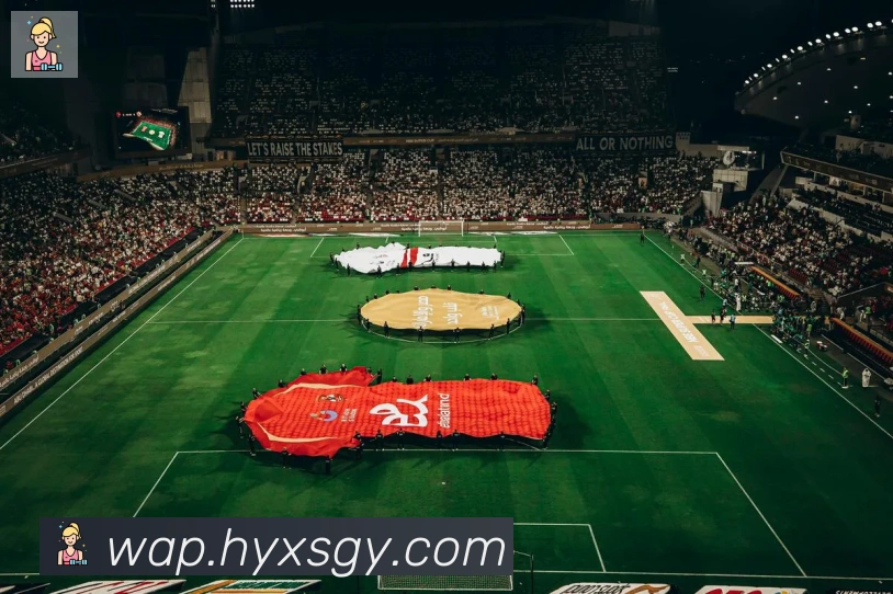 华体网页版登录入口荣誉