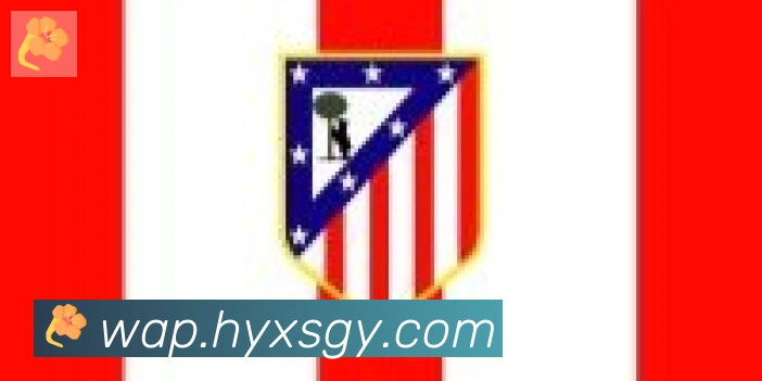 华体网页版登录入口合作伙伴