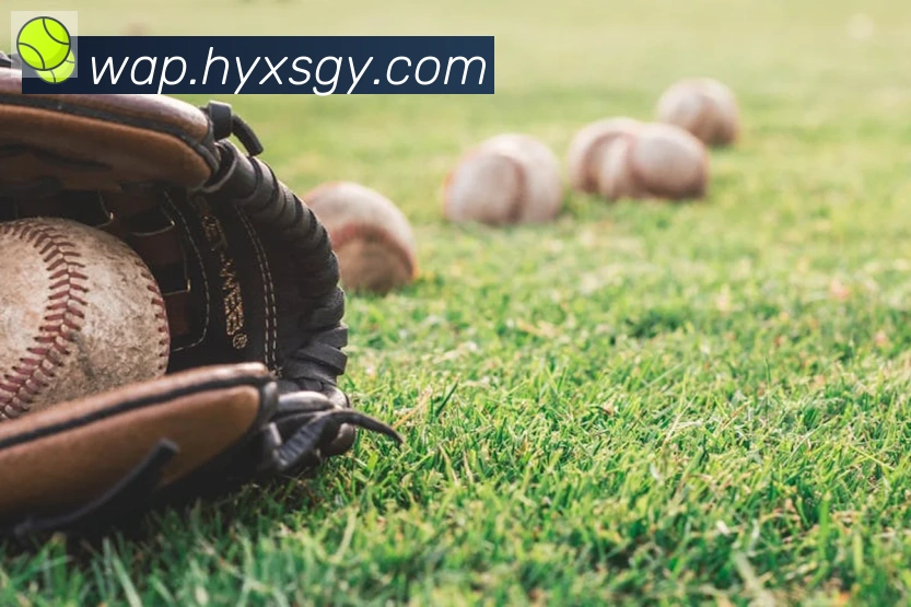 华体网页版登录入口全站App